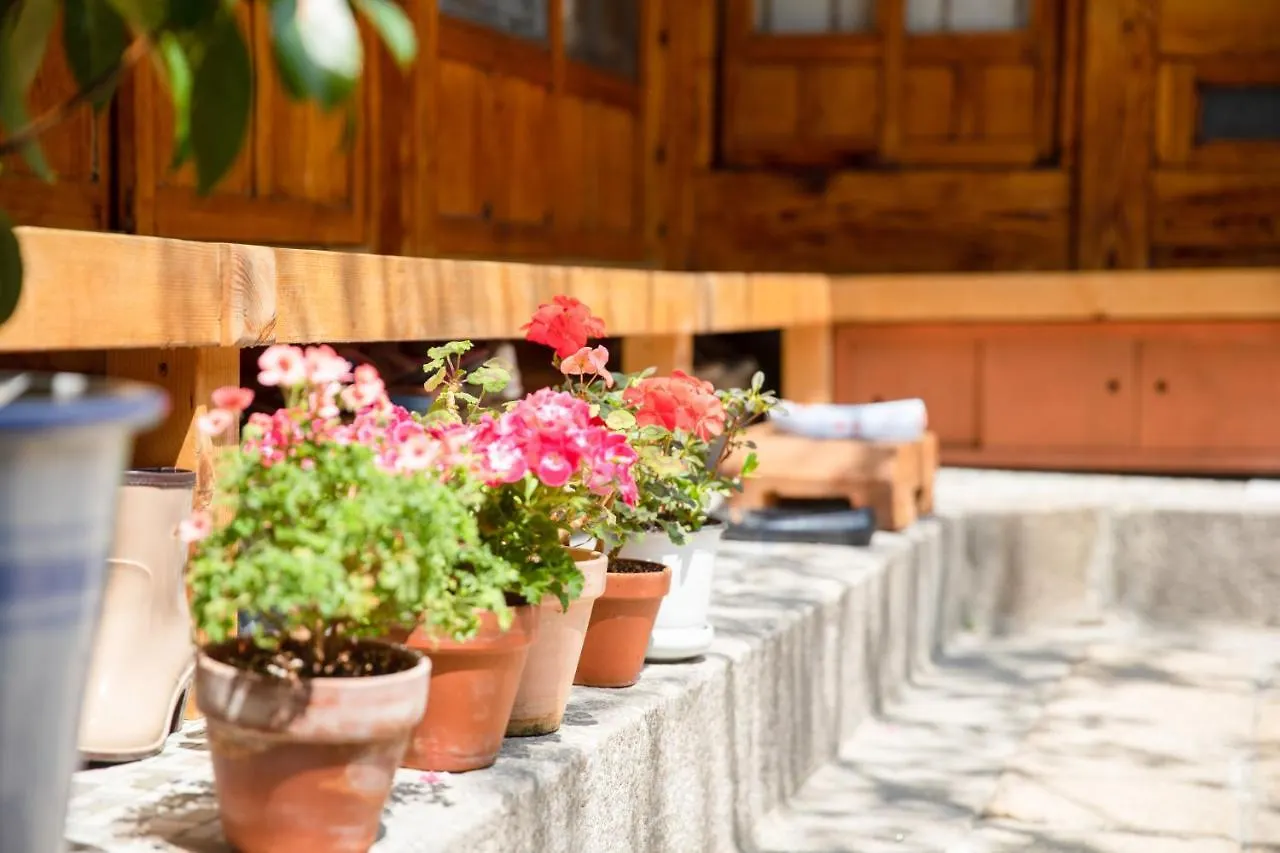 ゲストハウス Dongmyo Hanok Sihwadang - Private Korean Style House In The City Center With A Beautiful Garden ソウル特別市 韓国