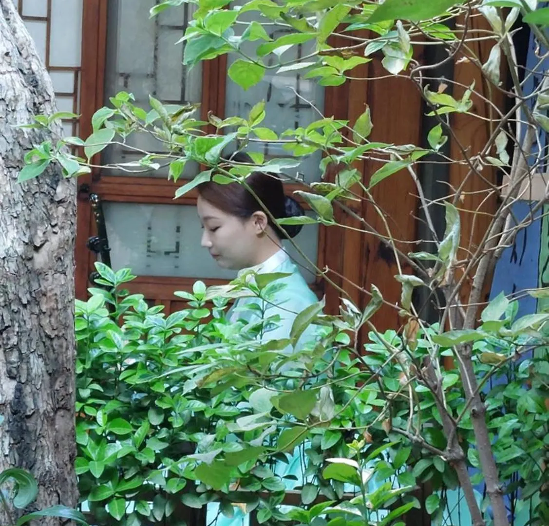 Dongmyo Hanok Sihwadang - Private Korean Style House In The City Center With A Beautiful Garden Séoul Maison d'hôtes